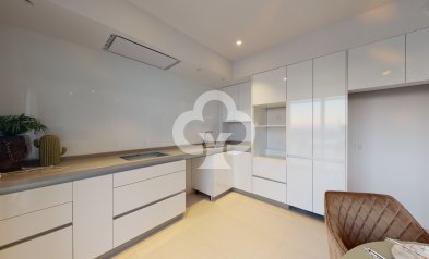 Obra nueva - Chalet independiente -
Mutxamel - 03110, Calle de la Camamil la s/n