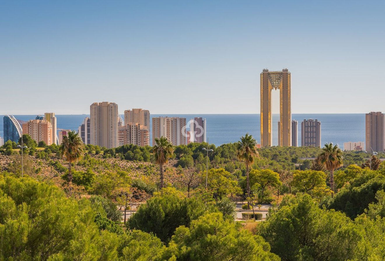 New Build - Apartamentos -
Benidorm - México Edificio Intempo, 7