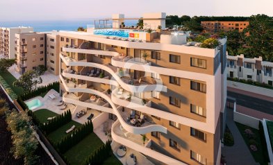 New Build - Bajos -
Torrevieja - Calle Pleamar, 22