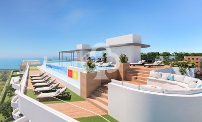 New Build - Bajos -
Torrevieja - Calle Pleamar, 22