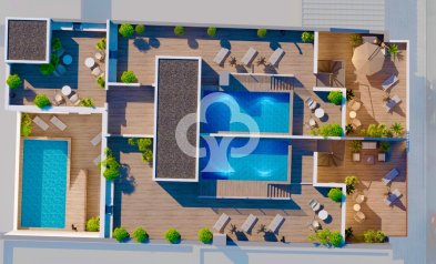 New Build - Apartamentos -
Torrevieja - 03182, Calle Gumersindo