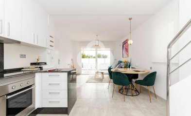 Obra nueva - Villas -
Torrevieja - 03184