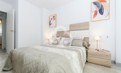 Obra nueva - Villas -
Torrevieja - 03184