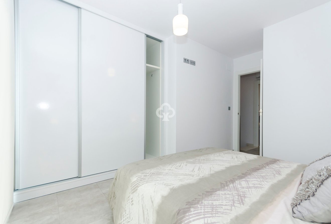 Obra nueva - Villas -
Torrevieja - 03184