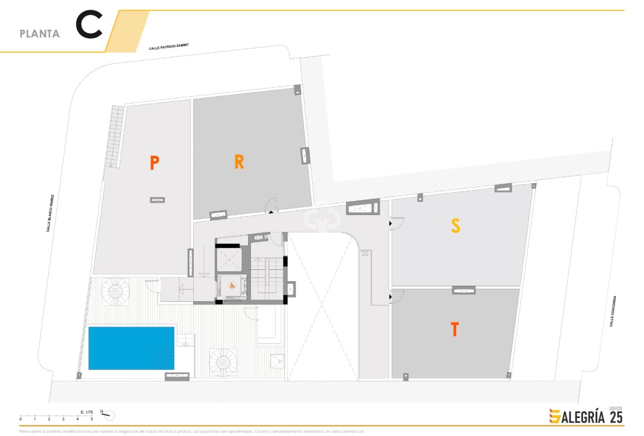 New Build - Apartment / flat -
Torrevieja - 03182, Calle Patricio Zammit