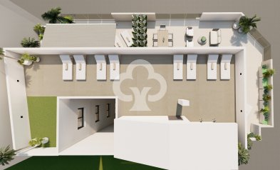 New Build - Apartamentos -
Guardamar del Segura