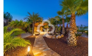 Obra nueva - Villas -
Orihuela