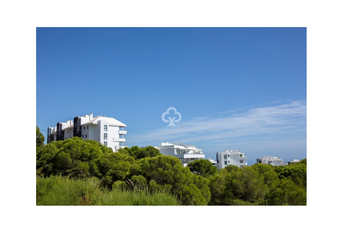 New Build - Apartamentos -
Benalmádena - 29639, Calle Begoña s/n