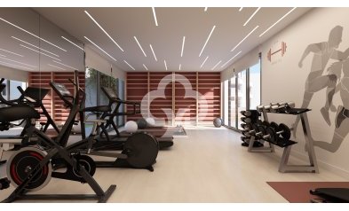 Obra nueva - Bajos -
Casares