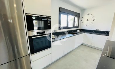 New Build - Villas -
Torrevieja - 03183, Calle Ariadna