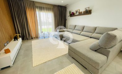 New Build - Villas -
Torrevieja - 03183, Calle Ariadna