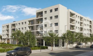 New Build - Bajos -
Alicante / Alacant - 03005, Calle Deportista Pitu Perramón, 3