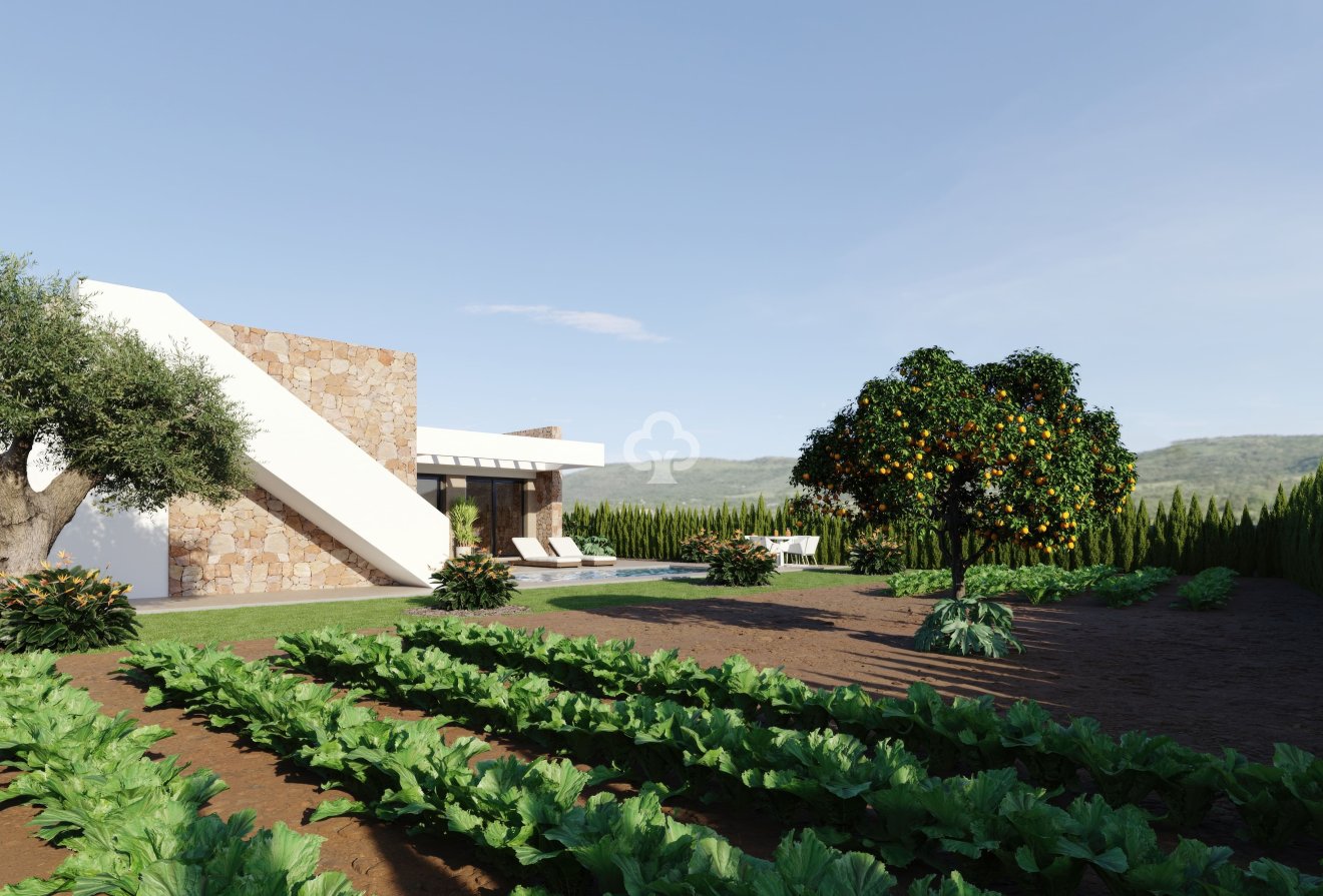 New Build - Villas -
Fuente-Álamo