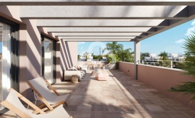 Obra nueva - Villas -
Torre-Pacheco - 30709