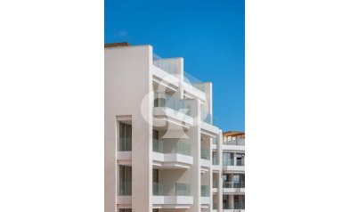 New Build - Áticos -
Orihuela - 03189