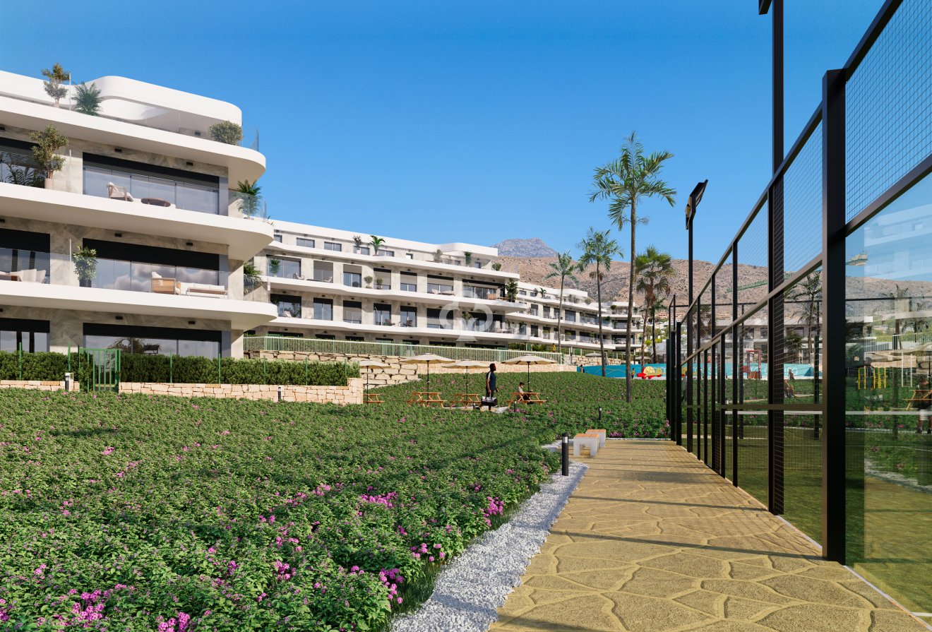 Obra nueva - Bajos -
Finestrat