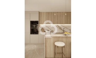 Obra nueva - Bajos -
Finestrat