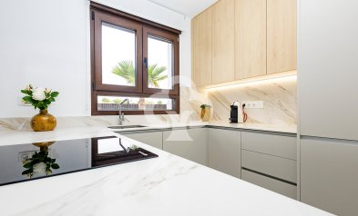 Nybyggnation - Villas -
Orihuela - 03319, Calle Melón