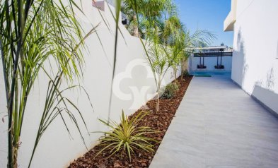 New Build - Chalet independiente -
Los Montesinos - 03187