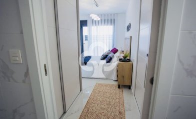 New Build - Chalet independiente -
Los Montesinos - 03187