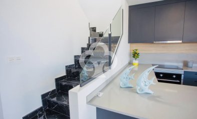 New Build - Chalet independiente -
Los Montesinos - 03187