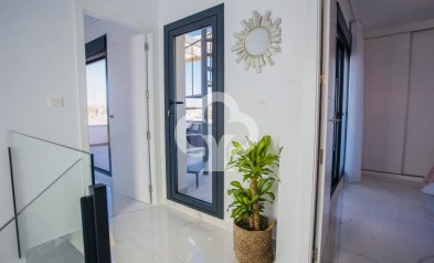 New Build - Chalet independiente -
Los Montesinos - 03187