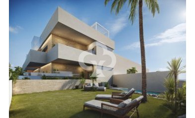 Neue Gebäude - Bajos -
San Pedro del Pinatar