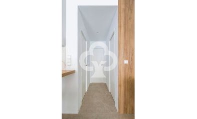 Neue Gebäude - Bajos -
San Pedro del Pinatar