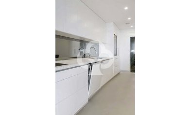 Obra nueva - Apartamentos -
Relleu