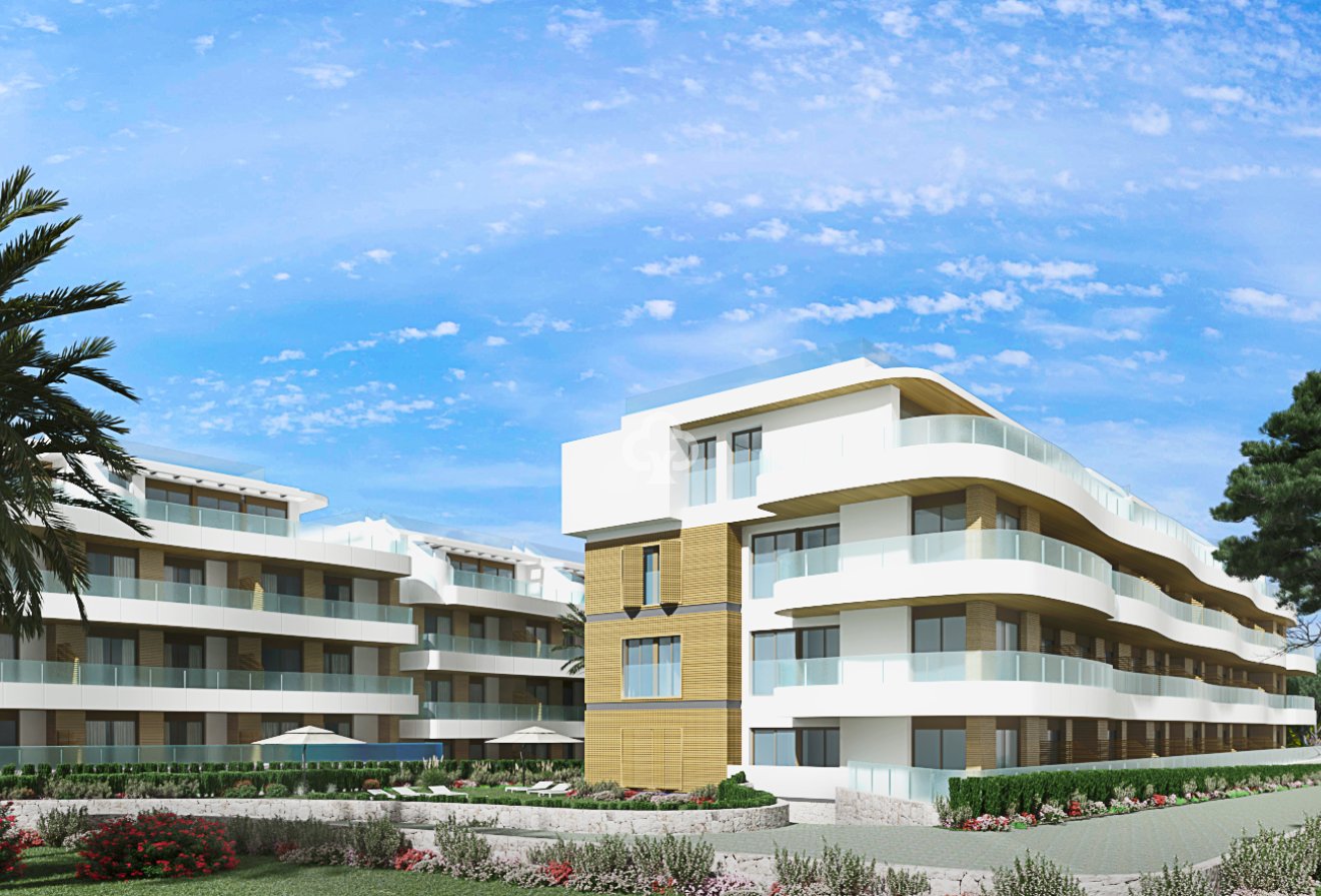 Obra nueva - Flats -
Orihuela