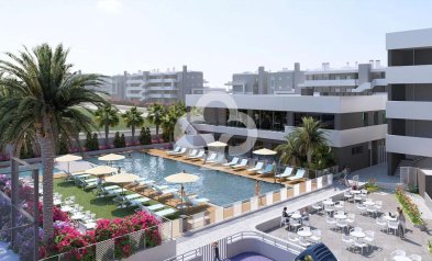 New Build - Áticos -
Torrevieja - Calle Jose Carreras, 3