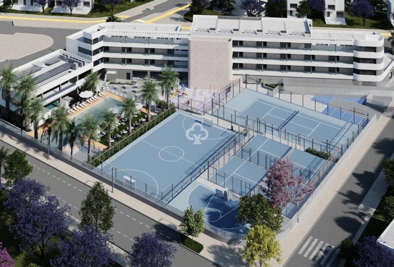 New Build - Áticos -
Torrevieja - Calle Jose Carreras, 3