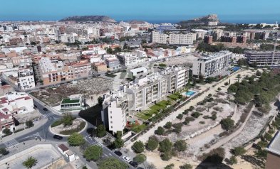 Neue Gebäude - Apartamentos -
Alicante / Alacant - 03005, Calle Deportista Pitu Perramon, 6
