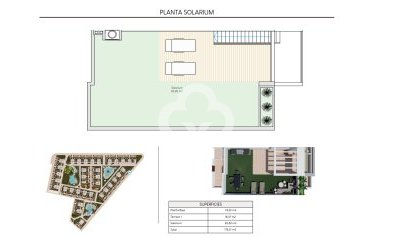 Nybyggnation - Bungalows -
Torrevieja - 03186, Avenida Denia s/n