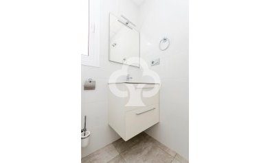 Obra nueva - Villas -
Torrevieja - 03184