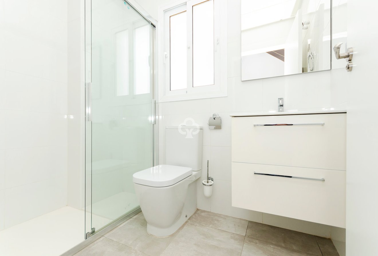 Obra nueva - Villas -
Torrevieja - 03184