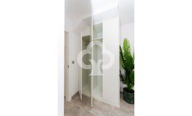 Obra nueva - Villas -
Torrevieja - 03184