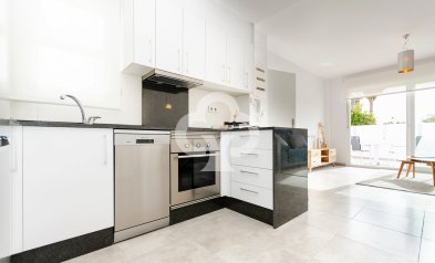 Obra nueva - Villas -
Torrevieja - 03184