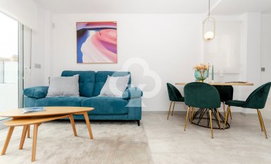 Obra nueva - Villas -
Torrevieja - 03184