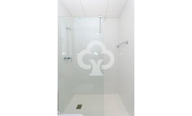 Obra nueva - Villas -
Torrevieja - 03184