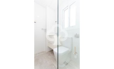 Obra nueva - Villas -
Torrevieja - 03184