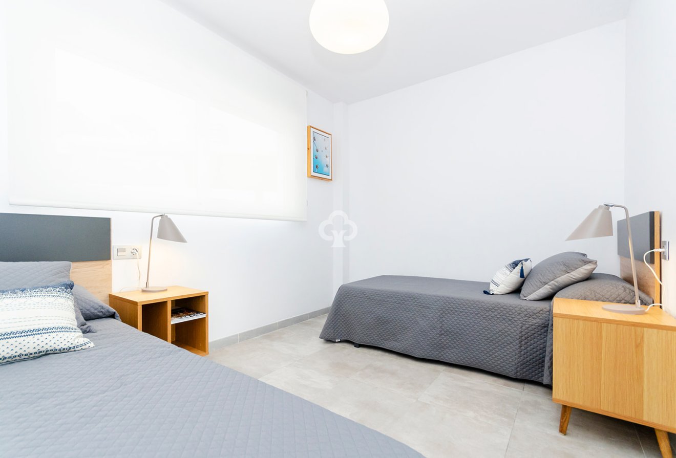 Obra nueva - Villas -
Torrevieja - 03184