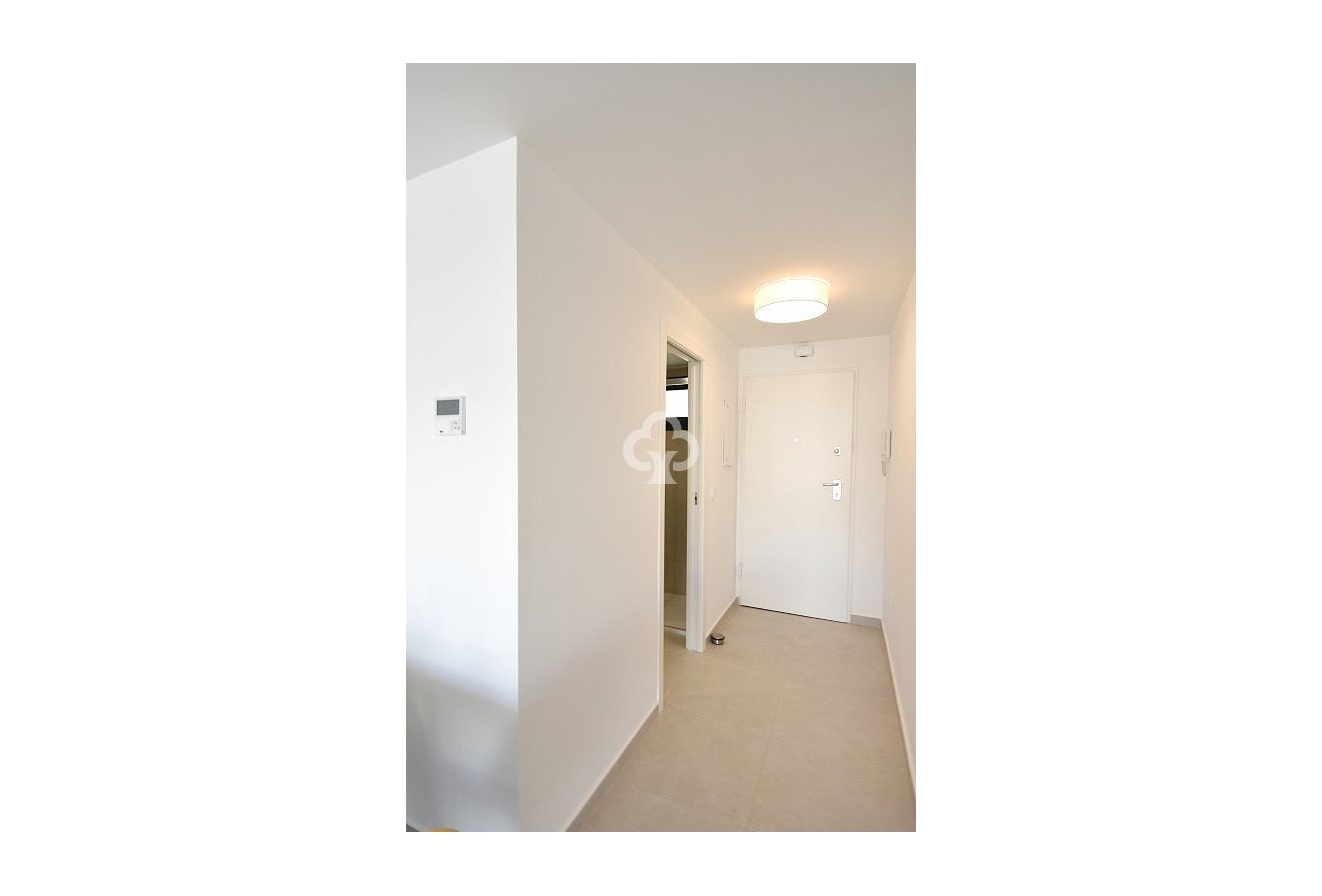 New Build - Apartment / flat -
San Miguel de Salinas - 03193