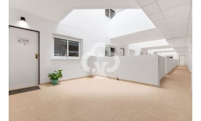 Uudiskohde - Apartamentos -
Orihuela