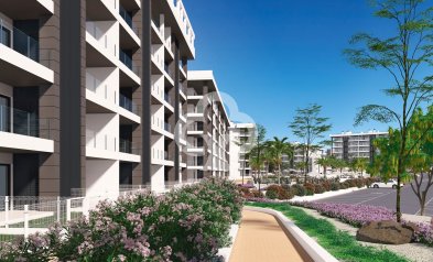 New Build - Apartament -
Torrevieja - torrevieja