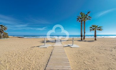 Obra nueva - Apartamento -
Torrevieja - torrevieja