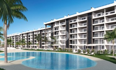 Obra nueva - Ático -
Torrevieja - torrevieja