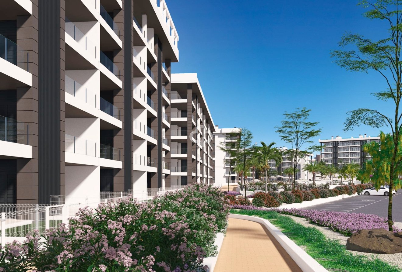 Obra nueva - Ático -
Torrevieja - torrevieja