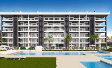 Obra nueva - Ático -
Torrevieja - torrevieja