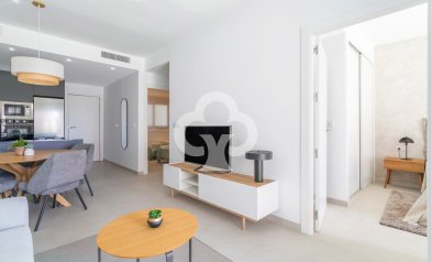 Obra nueva - Ático -
Torrevieja - torrevieja